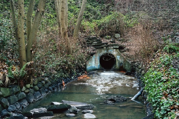 Фотовыставка «Вы смотрите на то, чего никогда не было»