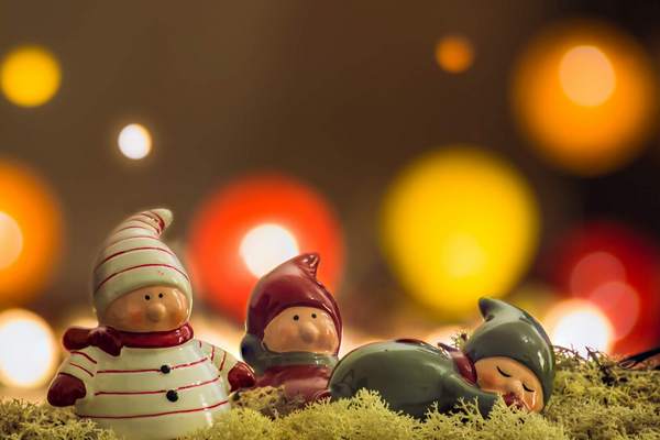 Новогоднее шоу «Как гномы Новый год спасали»