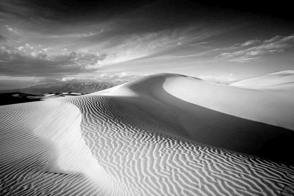 Фотовыставка «Эффект присутствия»