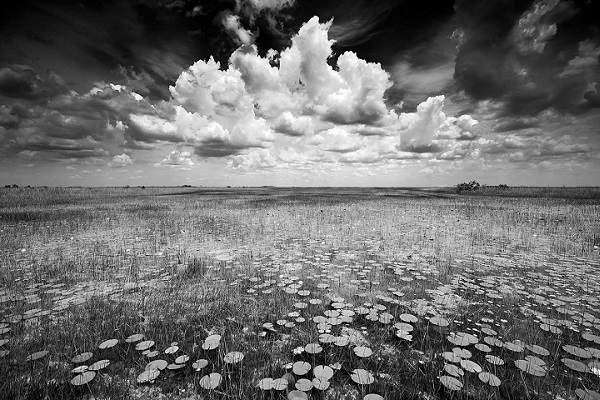 Фотовыставка «Эффект присутствия»