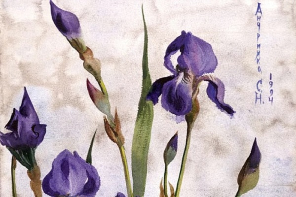 Выставка акварели Сергея Андрияки «Природа и растения России»