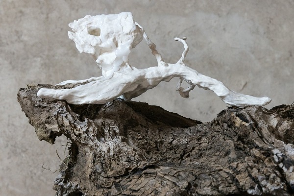 Выставка «Коллекция Розовой книги №2»