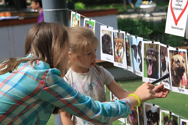 Выставка-пристройство собак «Искра-Fest – 2018»