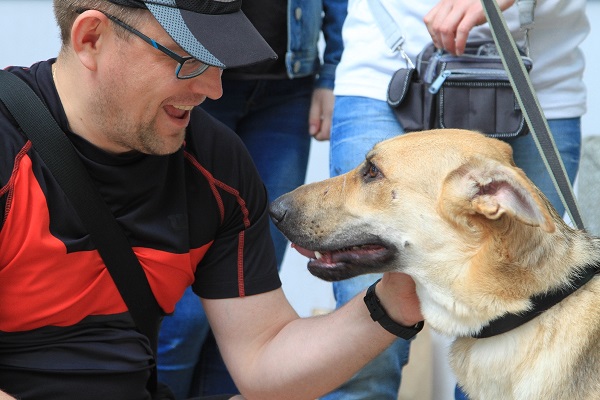 Выставка-пристройство собак «Искра-Fest – 2018»