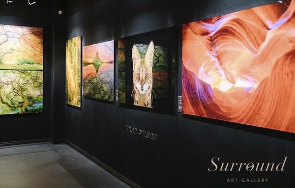 Выставка-продажа фотографии в стиле Fine Art «Легенды дикой природы»