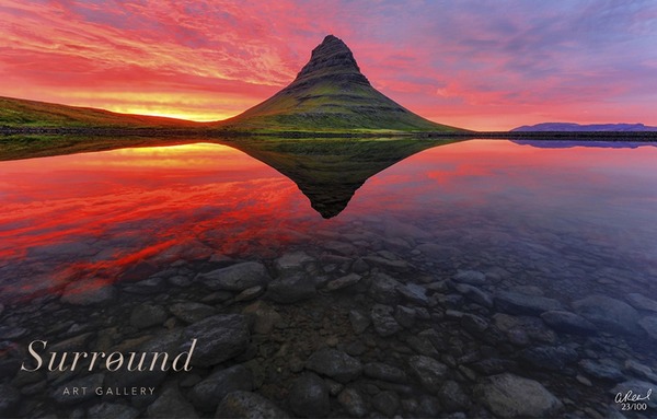 Выставка-продажа фотографии в стиле Fine Art «Легенды дикой природы»