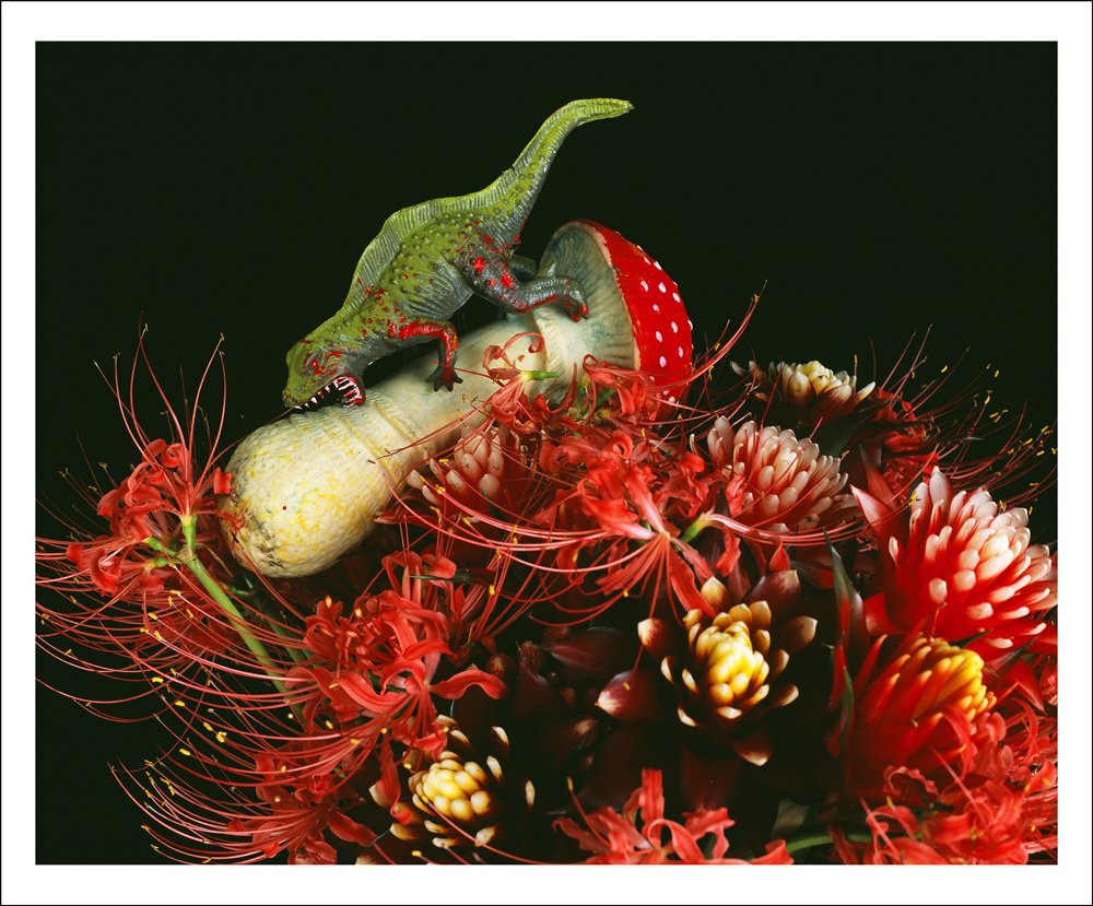 Фотовыставка «Чудовищный рай» в галерее RuArts