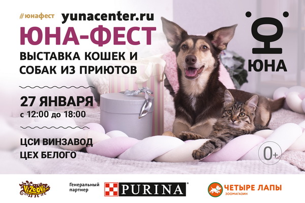 Выставка-пристройство собак и кошек из приютов на территории ЦСИ «Винзавод».