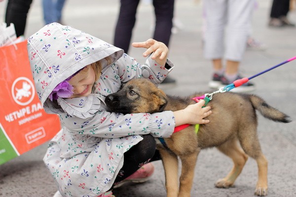 Благотворительный фестиваль «Собаки, которые любят»