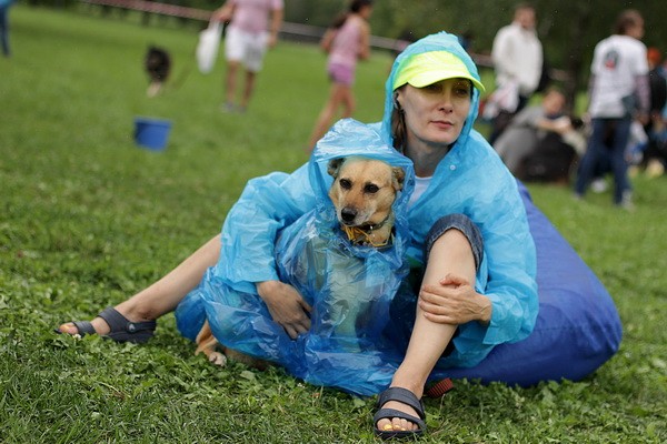 Благотворительный фестиваль «Собаки, которые любят»