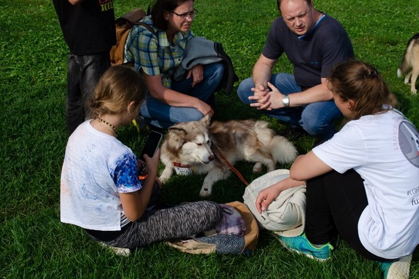 Благотворительный фестиваль «Собаки, которые любят»