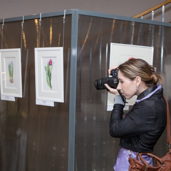 Выставка ботанической живописи «Весна не за горами»