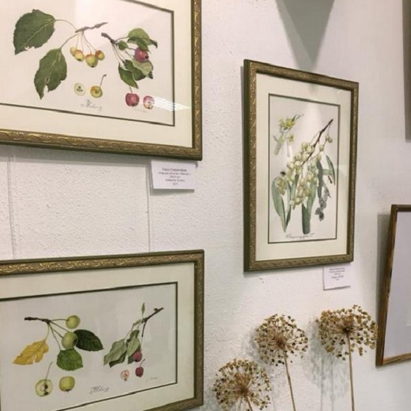 Выставка ботанической живописи «Весна не за горами»