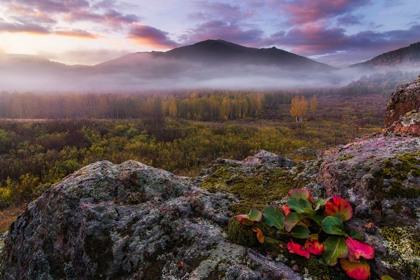 Выставка фотографий «Места силы – Алтай»