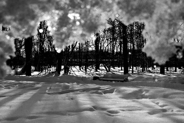 Выставка фотографий «Снег. Nix. Snow»