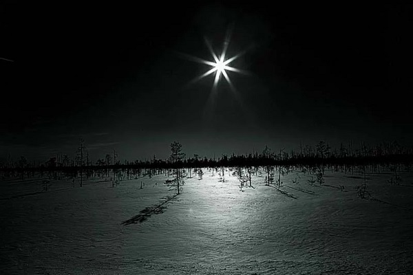 Выставка фотографий «Снег. Nix. Snow»