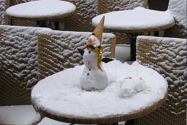 Выставка фотографий «Снег. Nix. Snow»