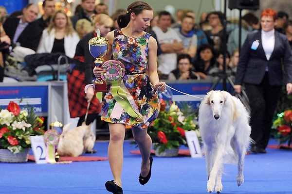 Интернациональная выставка собак «ЕВРАЗИЯ-2019»