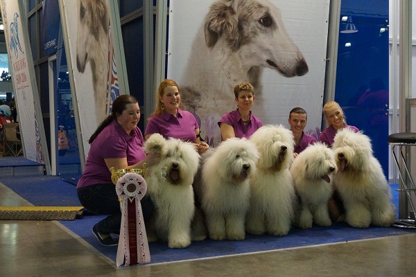 Интернациональная выставка собак «ЕВРАЗИЯ-2019»
