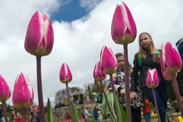 Международный женский день в Таганском парке
