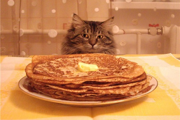 Праздник «Не все коту масленица. Великопостная трапеза в России и на Руси»