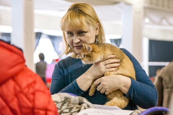 Выставка-продажа котят