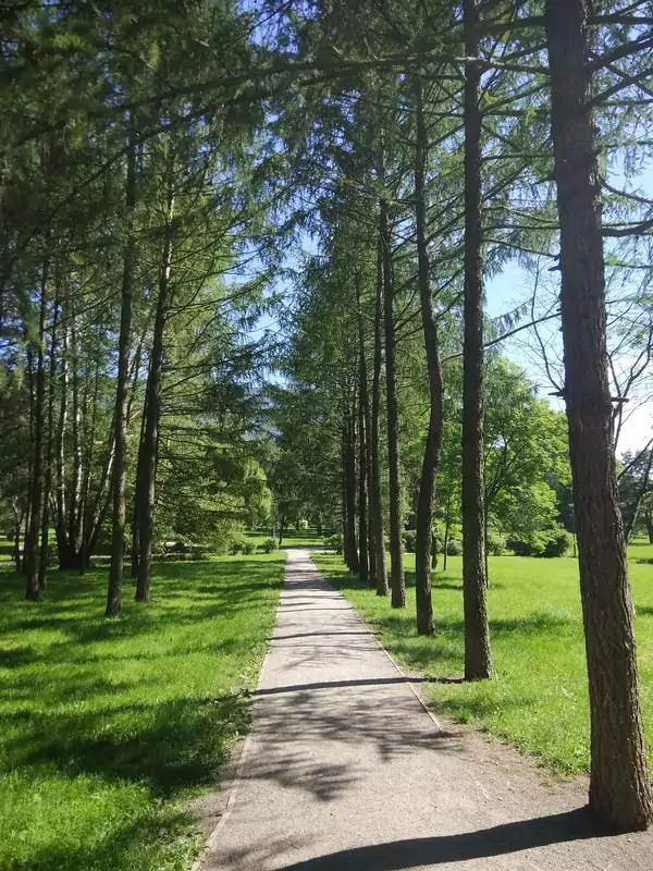 Аршиновский парк