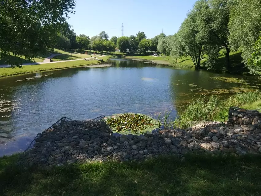 Аршиновский парк