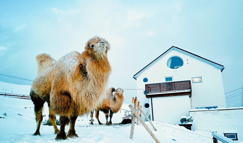 Подраздел 3.1: Фильмы, подходящие для просмотра всей семьей