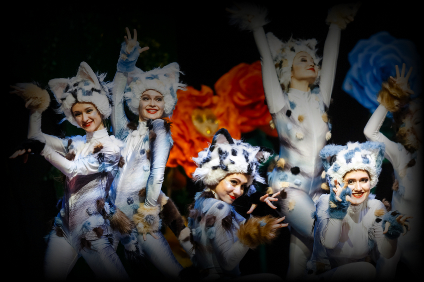 Волшебное шоу «Алиса: туда и обратно»