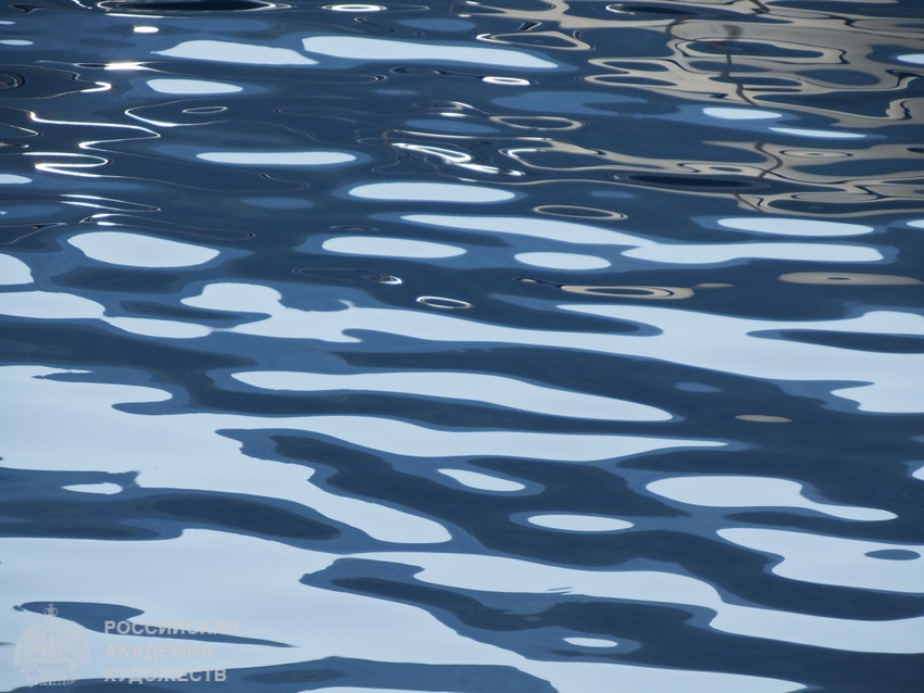 Выставка фотографий Марчеллы Симонелли «Скрытый поток красок»