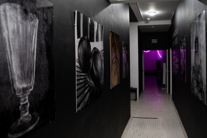 Выставка «Элиз. Частицы»