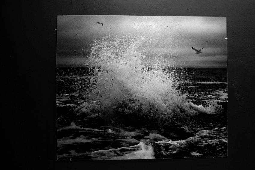 Выставка «Элиз. Частицы»