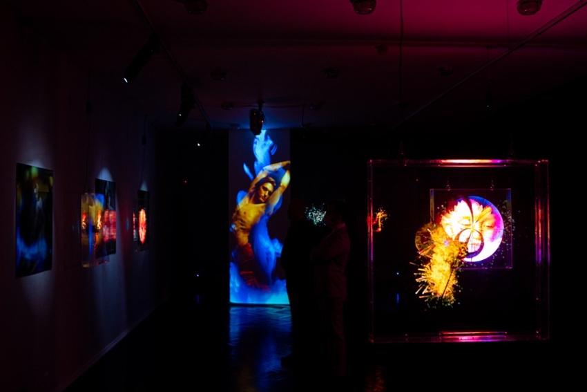 Выставка «Элиз. Частицы»