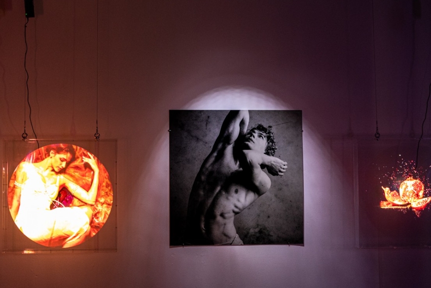 Выставка «Элиз. Частицы»