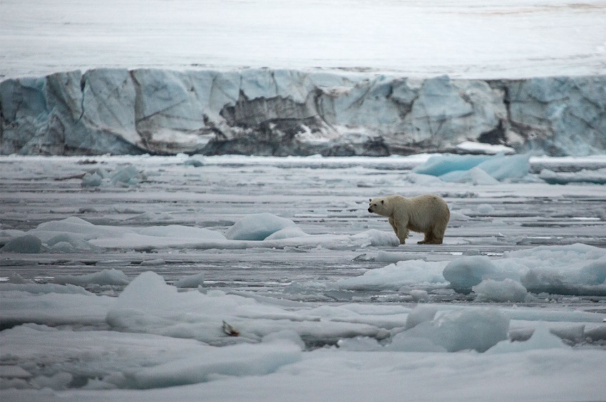 Фотовыставка «Архипелаги Арктики»
