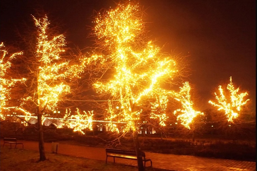 Выставка фотографий Елисея Мишина «Путь/道»