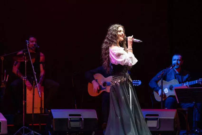 Концерт «Дрома ромэн»