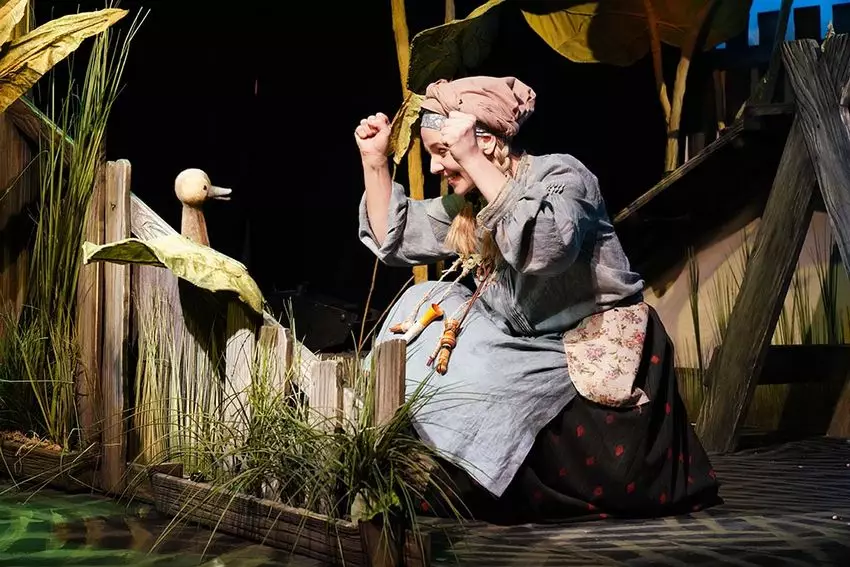 Спектакль «Гадкий утенок»