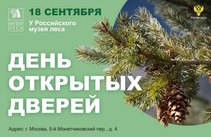 День открытых дверей в Музее леса