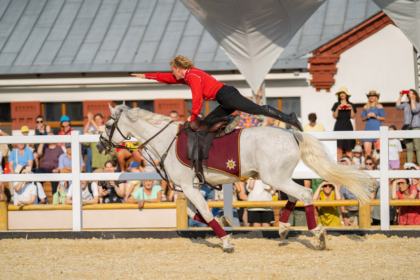 Чемпионат мира по джигитовке