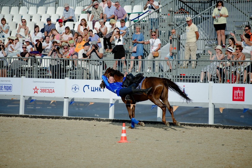 Чемпионат мира по джигитовке