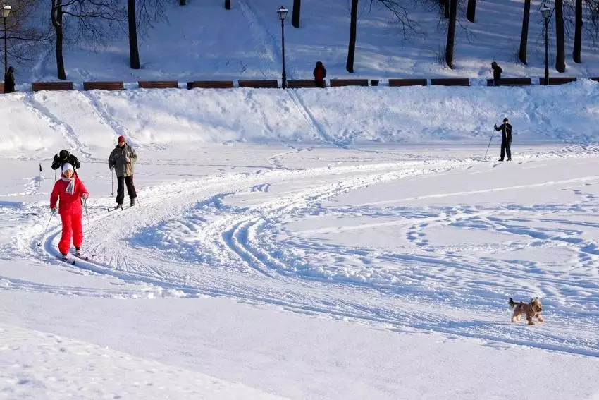 Парки Москвы, в которых проложены лыжные трассы в 2023-2024 году