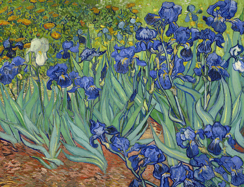 Выставка «Ван Гог. Жизнь как Звёздная ночь»