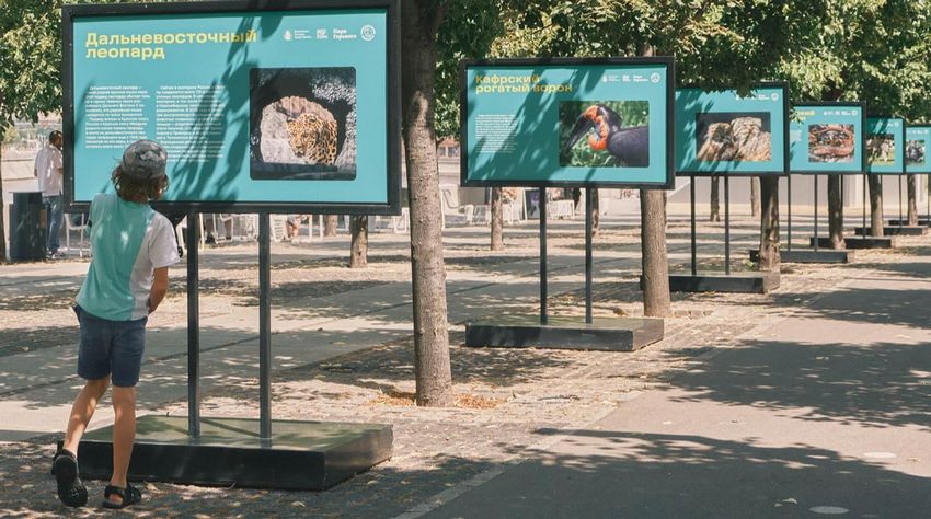 В парке искусств «Музеон» открылась выставка к юбилею Московского зоопарка