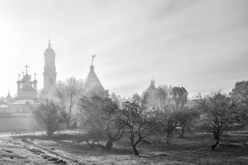 Выставка «Стена и Слово»