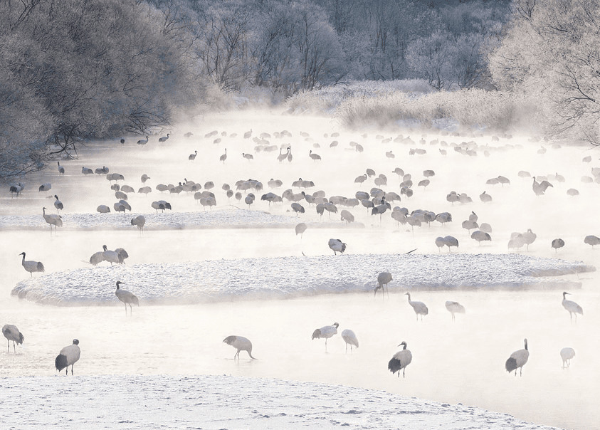 Выставка фотографий Сью Пак «Поэзия пустынных пространств»