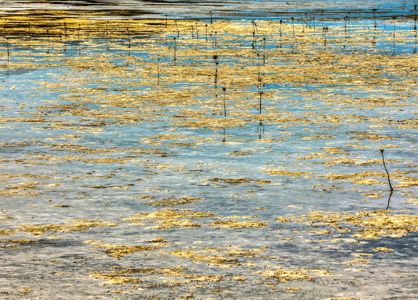 Выставка фотографий Сью Пак «Поэзия пустынных пространств»