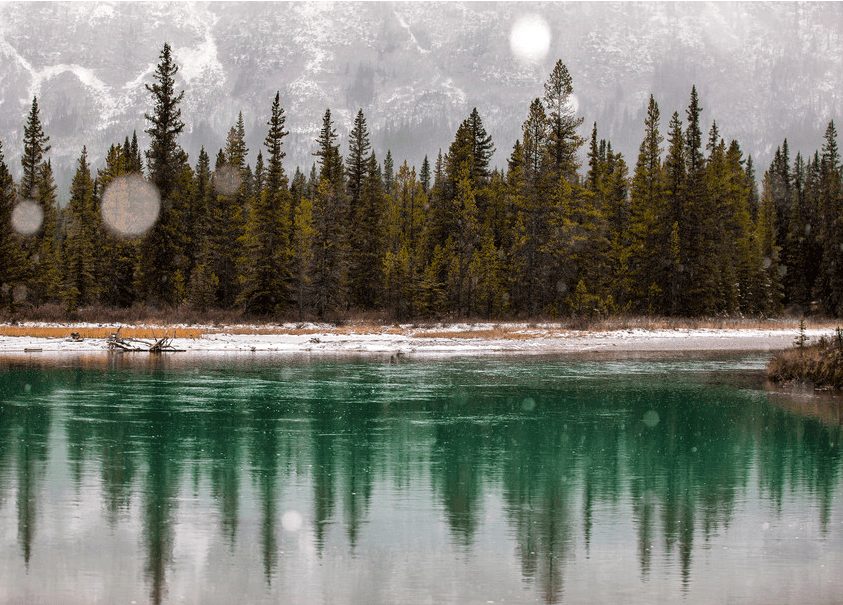 Выставка фотографий Сью Пак «Поэзия пустынных пространств»