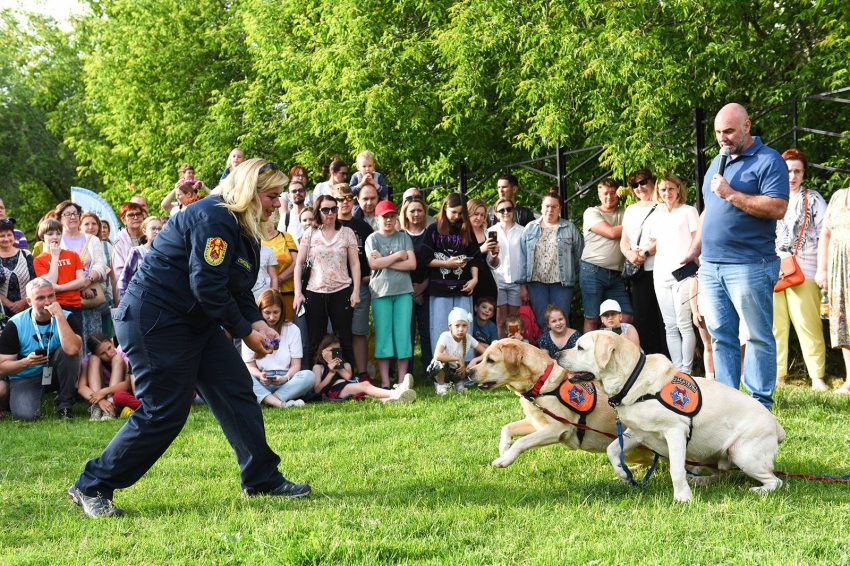 Второй цикл мероприятий «Друг, спасатель, защитник»